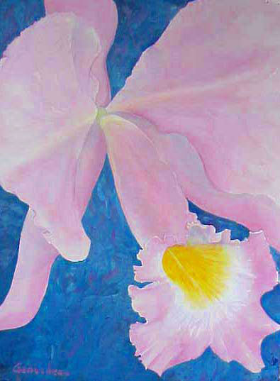Cattleya orchid Watercolor art painting C schroederae