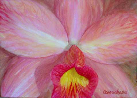 watercolor art painting orchid cattleya SLC Jilllian Lee Just Peachy