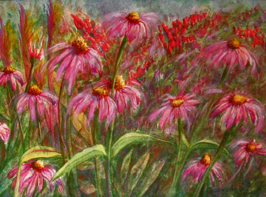 echinacea original art watercolor painting purple cone flowers