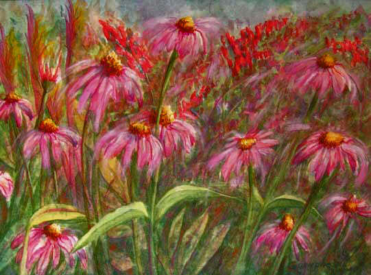 echinacea original art watercolor painting purple cone flowers
