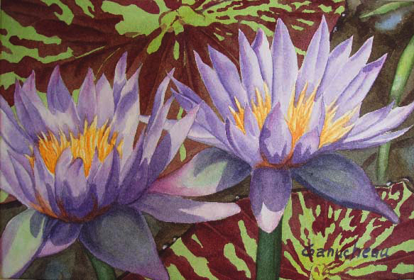 lily lilies waterlillies waterlily purple watercolor art painting