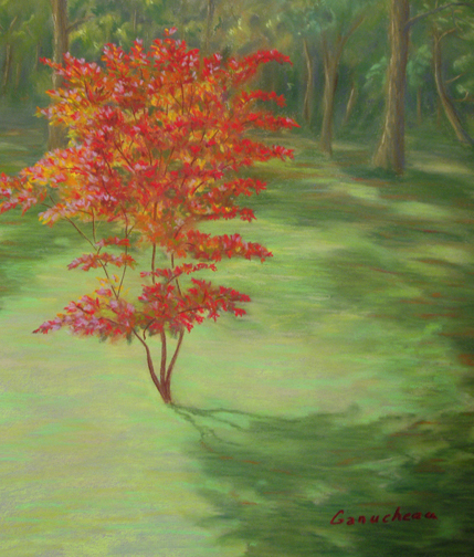 Japanese Red Maple, Pastel art pastel painting