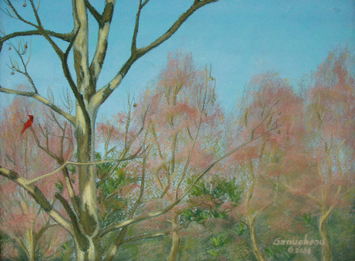 pastel art painting of a cardinal in a sycamore tree