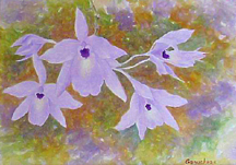 orchid Laelia rubescense cattleya watercolor painting