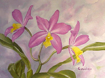 Cattleya orchid art painting watercolor Laeliacattleya LC Tiny Treasure