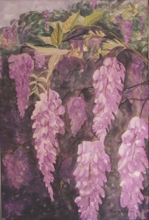 wisteria flower fine art still life painting watercolor 