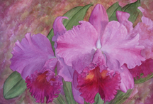 Watercolor painting, The color "Orchid"