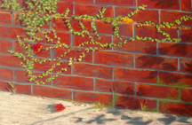 A brick wall wears a lacy necklace of delicate vines in this pastel painting