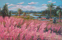 Flamingo grass, Helen Floyd Park, Little Jetties, Mayport, Jacksonville, Florida