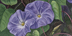 art gallery of floral and landscape paintings